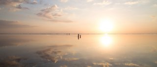 Escale Bien Etre Biscarrosse - Contacts