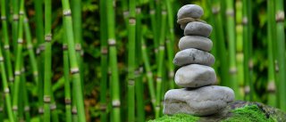 Escal Bien ETre Spa Hammam Biscarrosse - Ayurveda